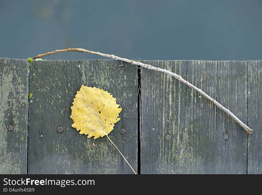 An old wooden fence with a yellow leaf and twig and copy space at the top. An old wooden fence with a yellow leaf and twig and copy space at the top