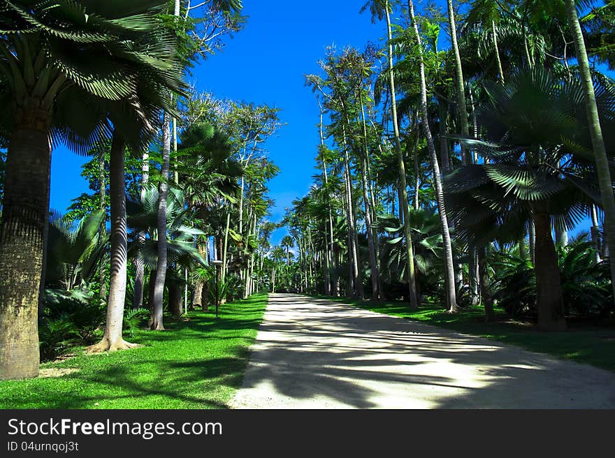 Caribbean Walk. The Beginning. Nong Nooch Garden