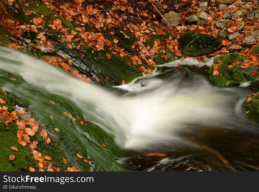 A detailed view of an autumn stream with blurred motion