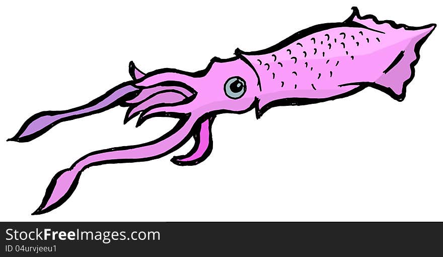 Illustration of the squid on the white background