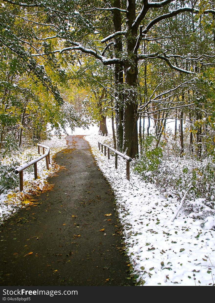 Snowy Walkway