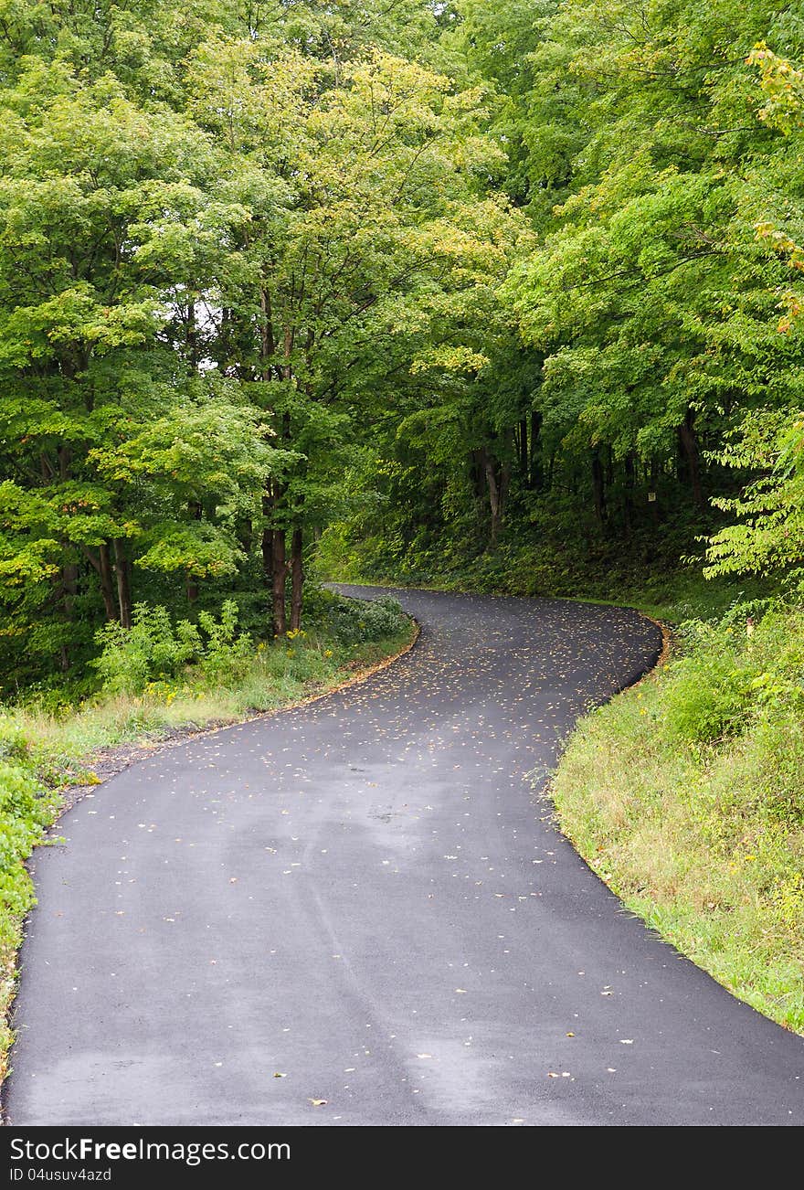 Lonely curved road with foliage