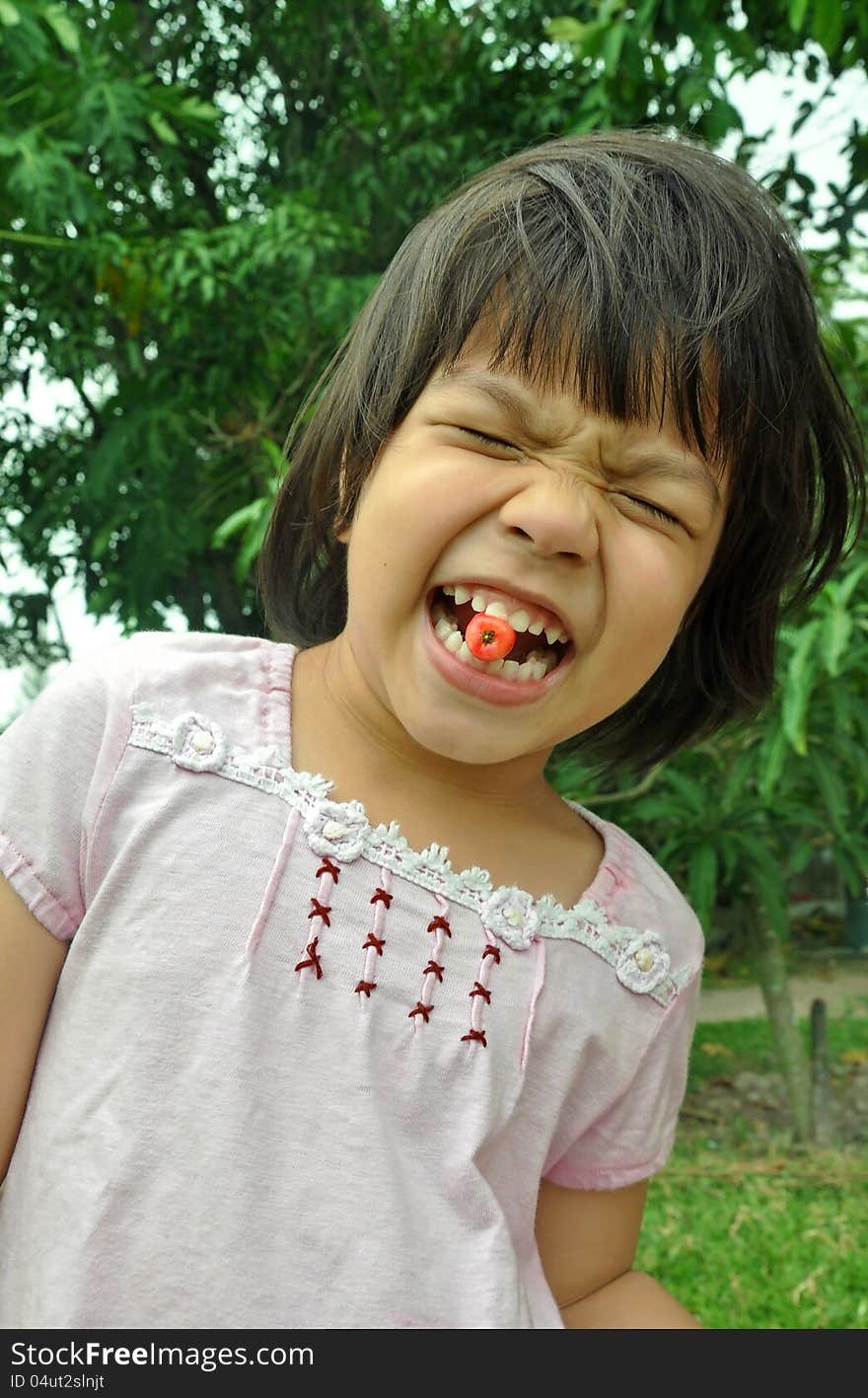 Asian Child Girl Eating Cherry From The Garden