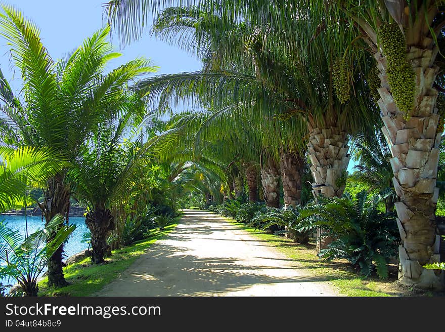 Caribbean Walk. The end. Nong Nooch Garden. Thailand.