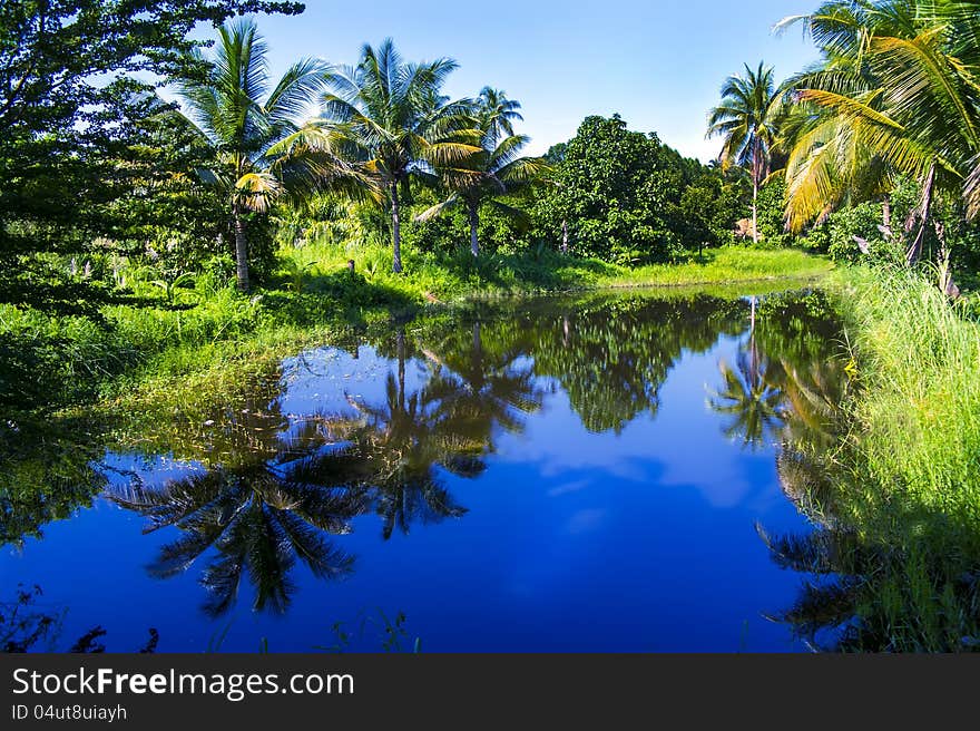 Nong Nooch Garden Lake. Thailand. Nong Nooch Garden Lake. Thailand.