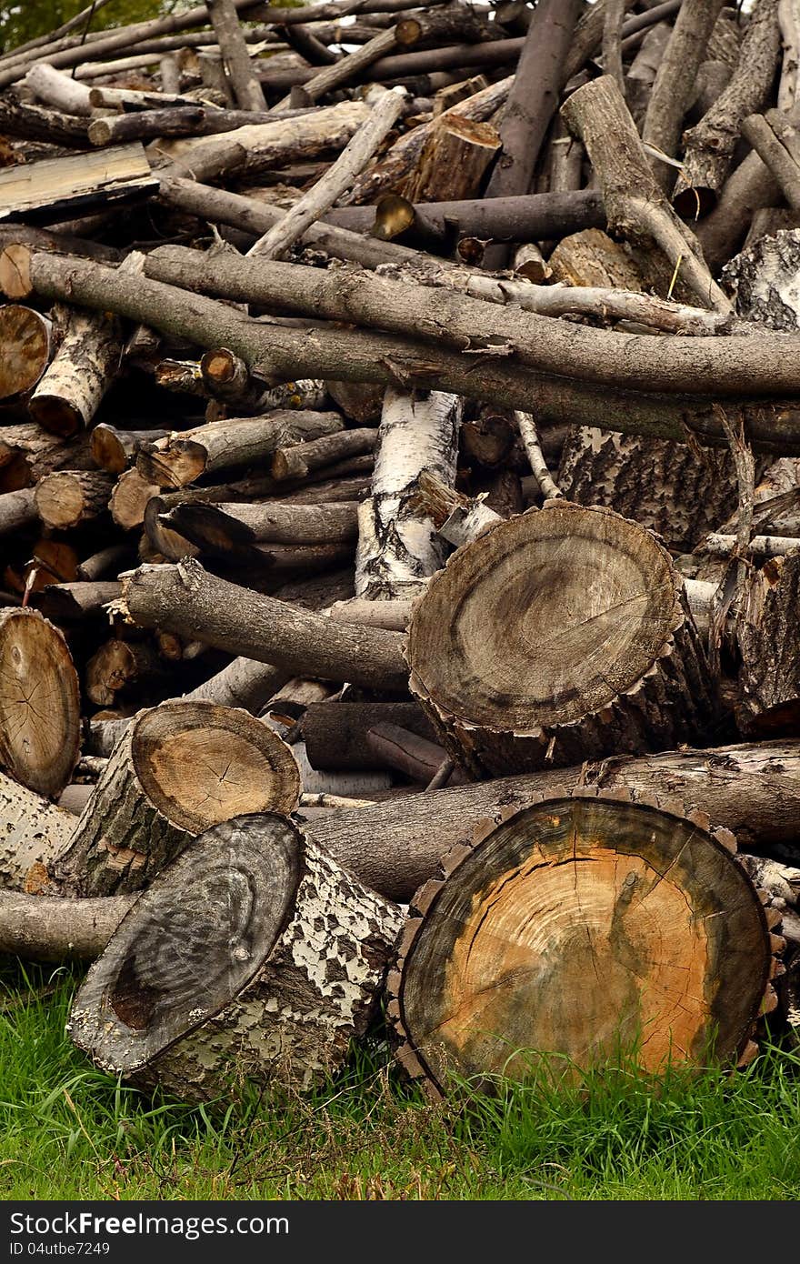 Pile of firewood on the grass. Pile of firewood on the grass