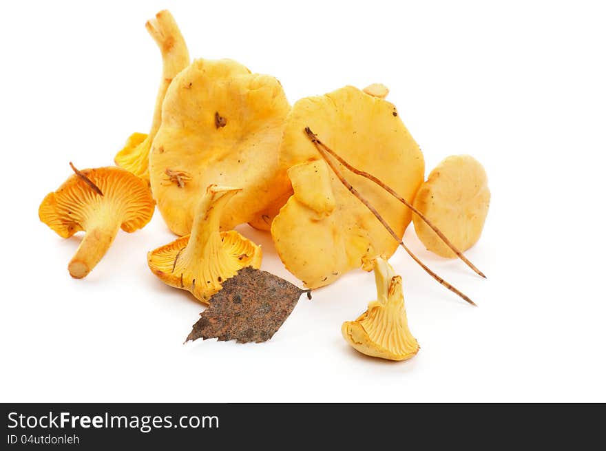 Heap of Raw Chanterelles with Dry Leafs on white background