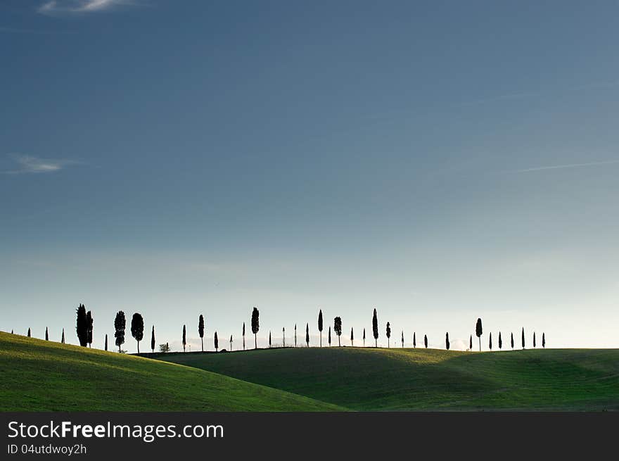 Early morning on countryside, Tuscany, Italy