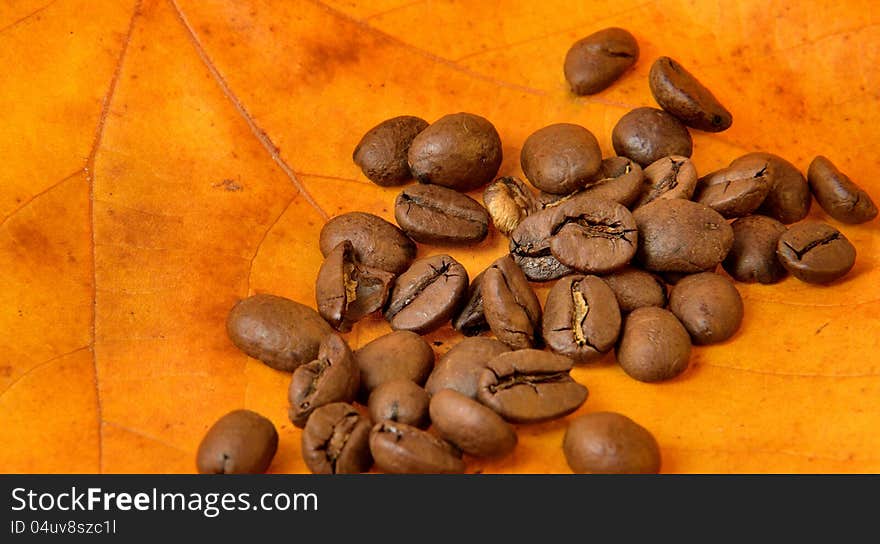 Coffee beans on autumn leaves