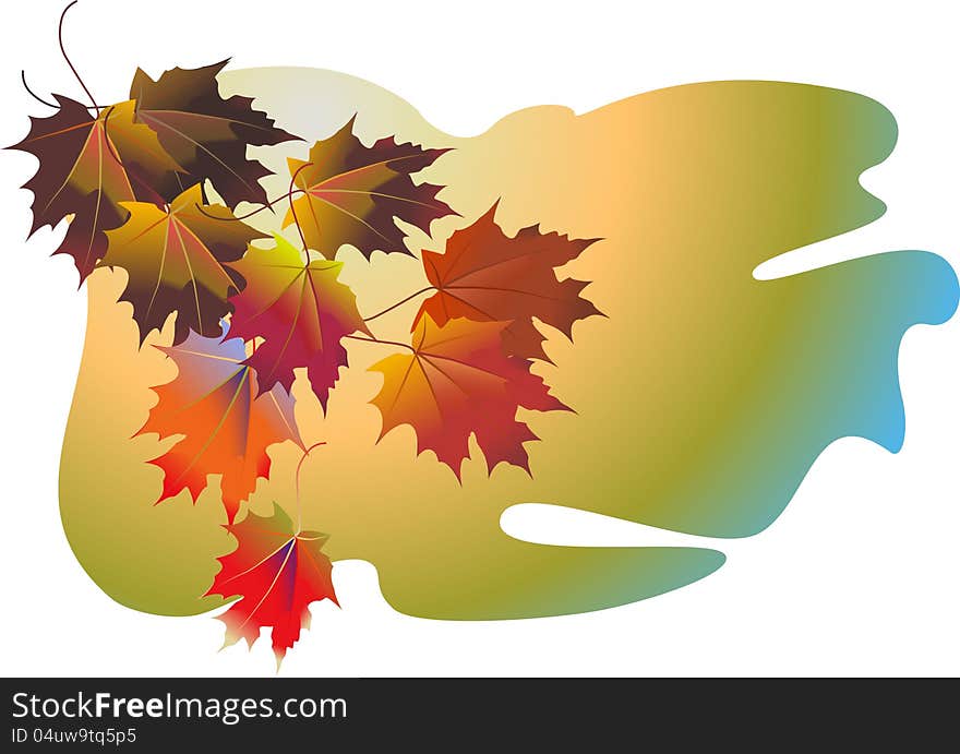 Fall colored leaves - vector illustration. Fall colored leaves - vector illustration