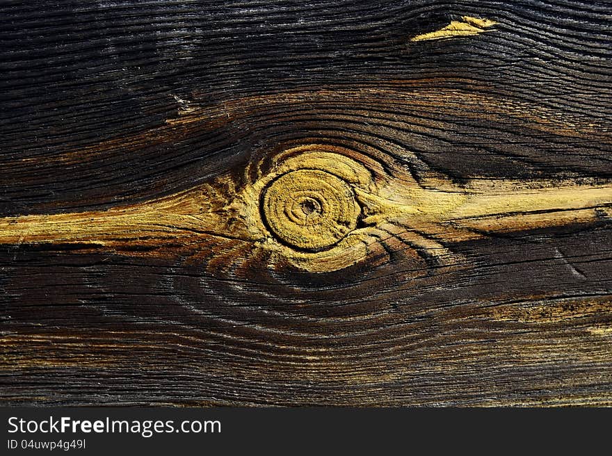 Close-up view of old cracked trunk cut showing growth rings. Close-up view of old cracked trunk cut showing growth rings