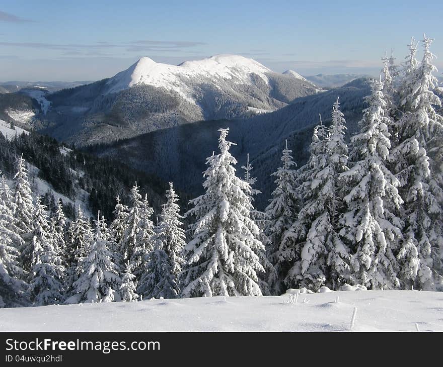 Winter in the mountains of Carpathians