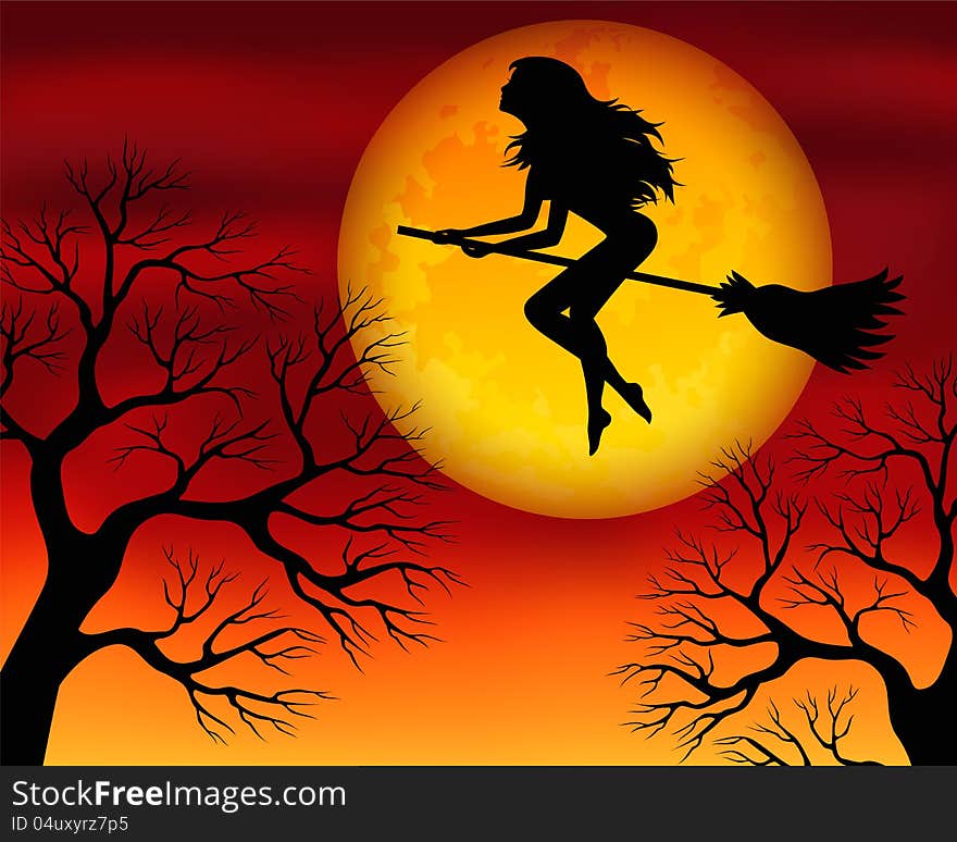 Witch on a broomstick