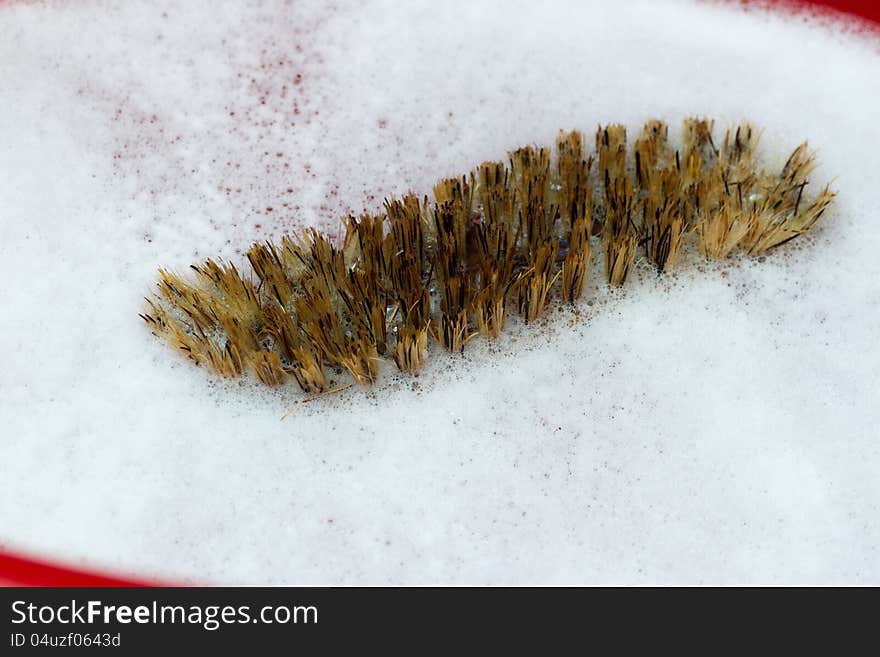 Close-up of a brush in white soapy water. Close-up of a brush in white soapy water