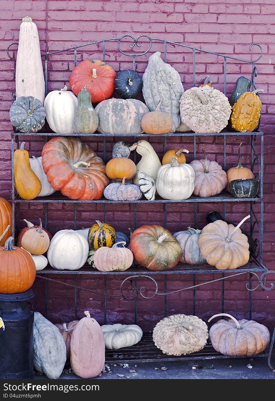 Pumpkins and squash displayed on a rack