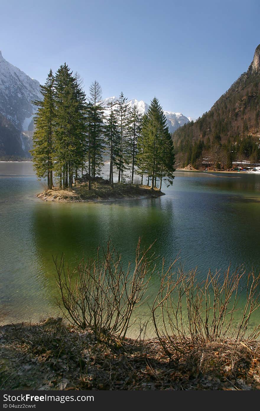 Pine forest on a small island on the lake