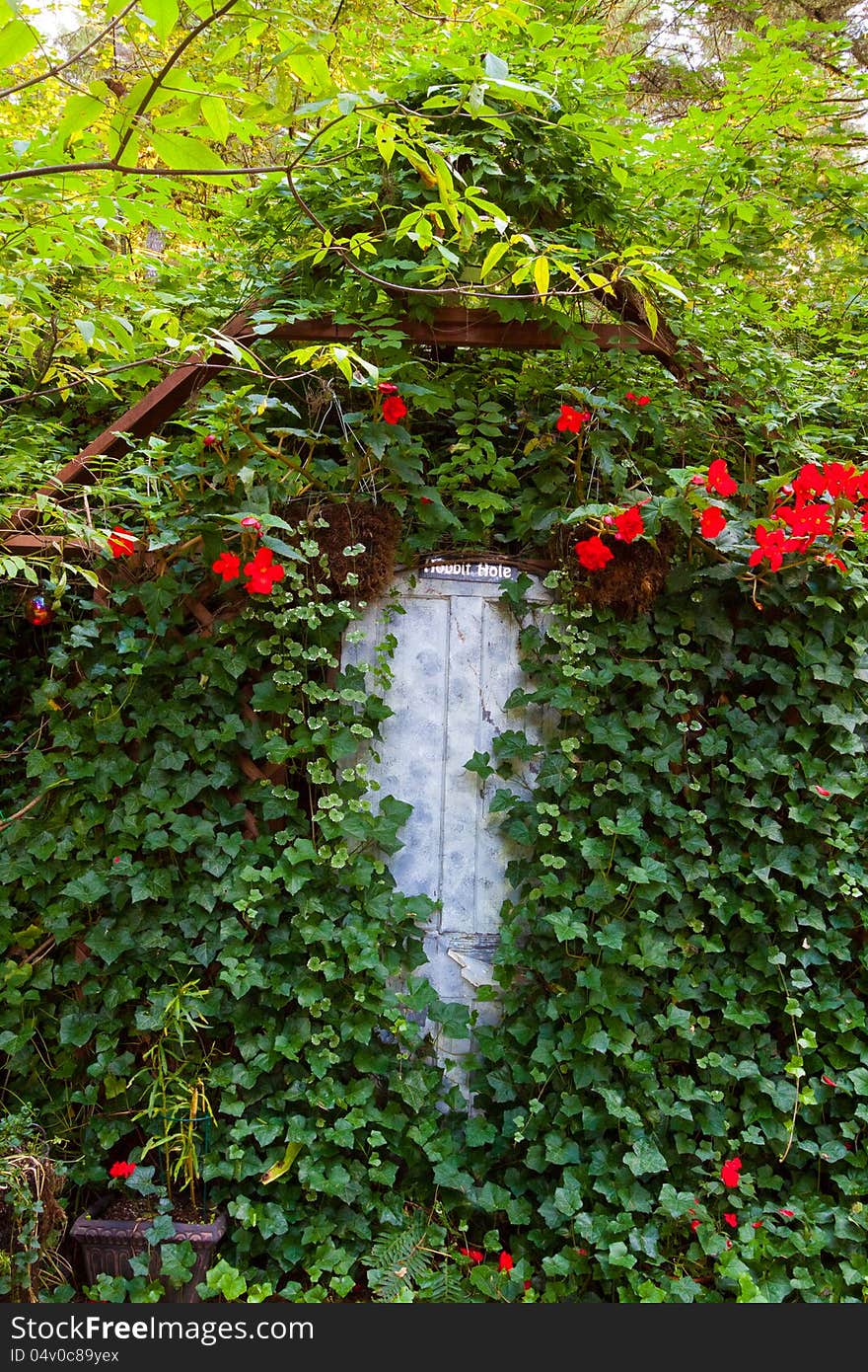 Ivy Covered Door