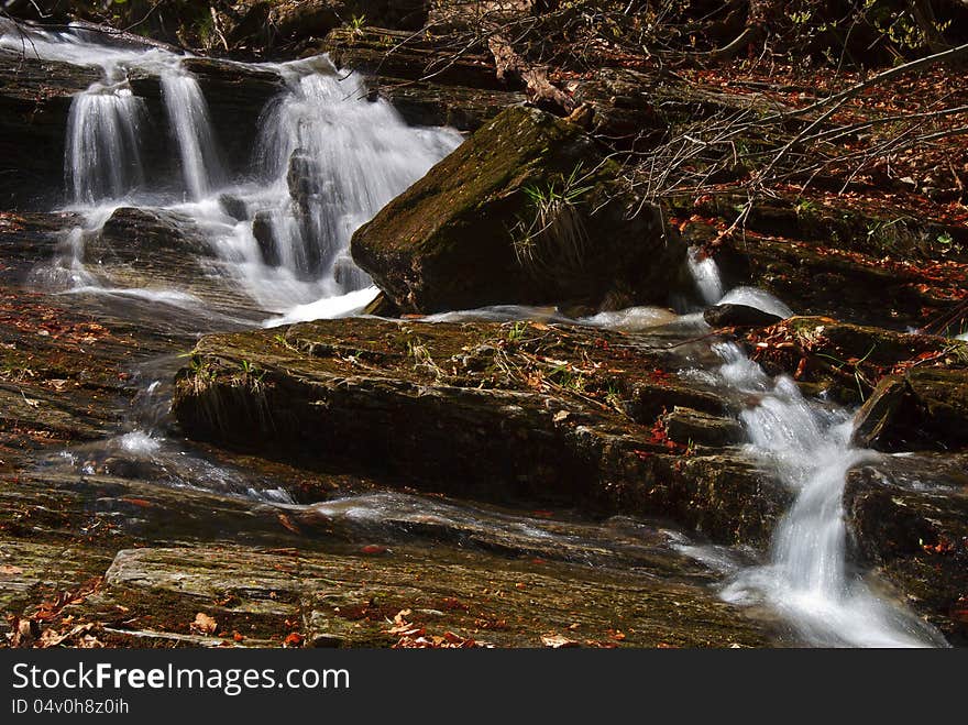 Beautiful forest stream with cascades.