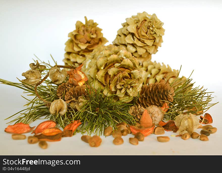 Cedar cones, died leaves and needles on the white background. Cedar cones, died leaves and needles on the white background