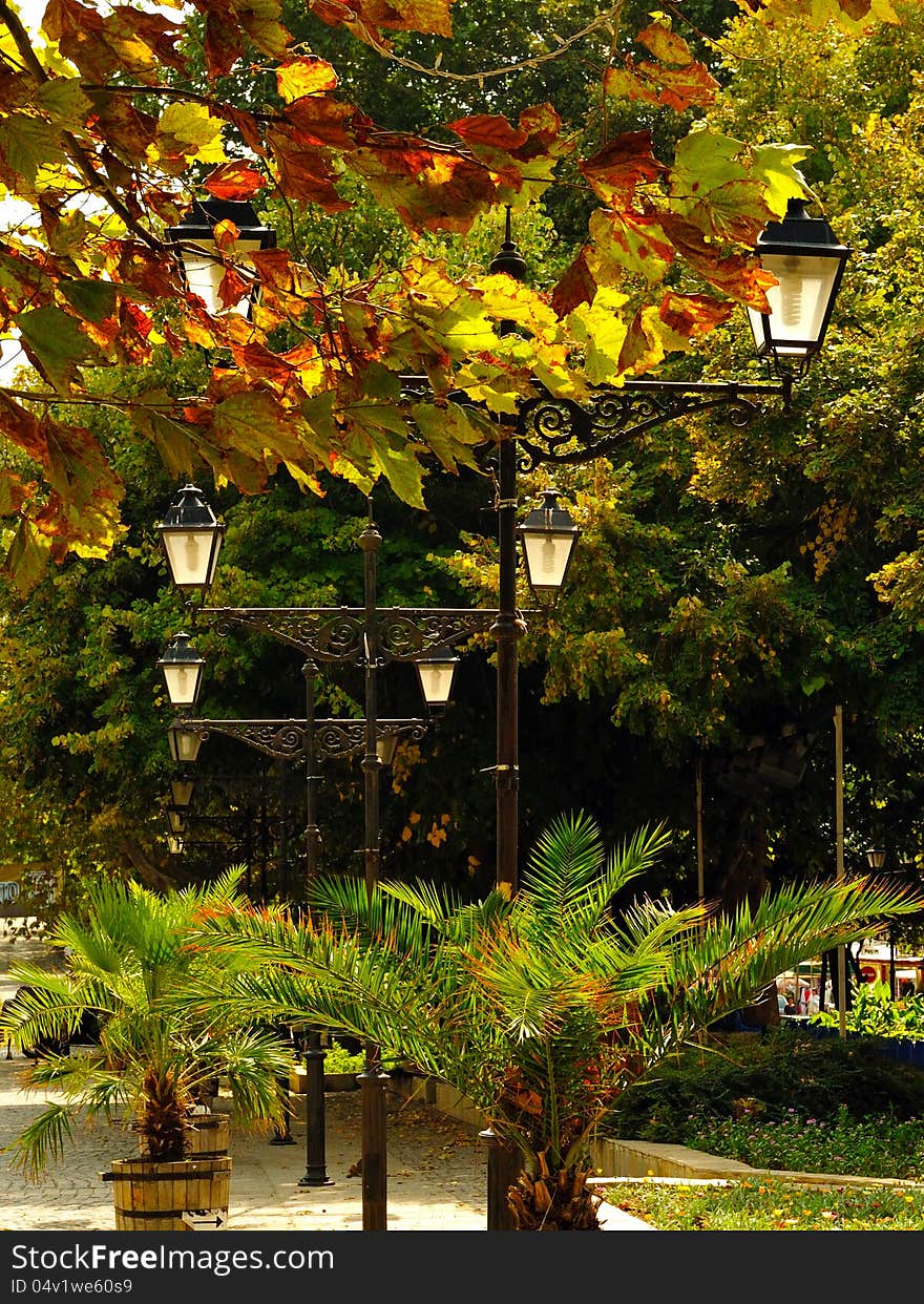 Alley Of Lanterns