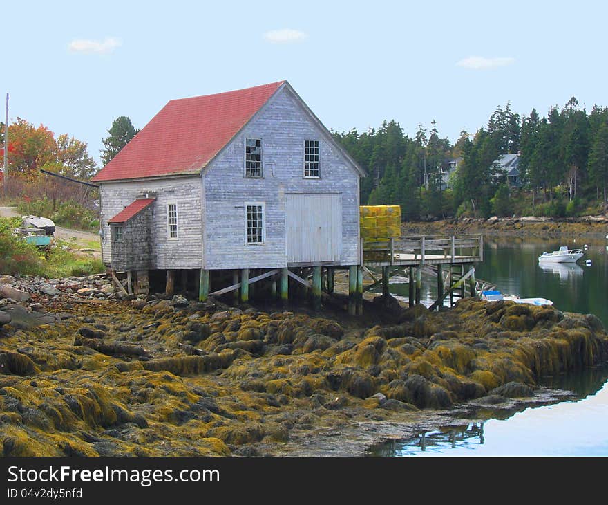 Maine Harbor