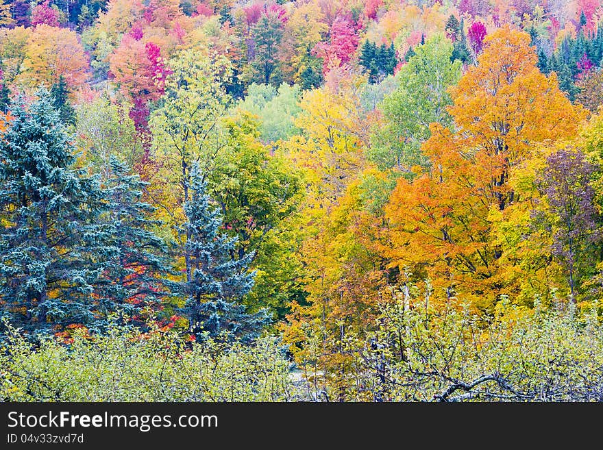 Multiple fall foliage colors on the mountains.