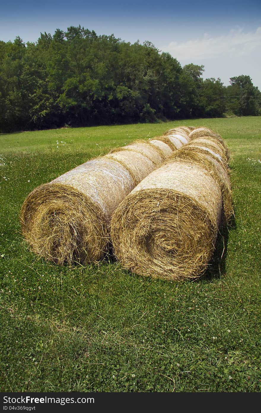 Bales of hay