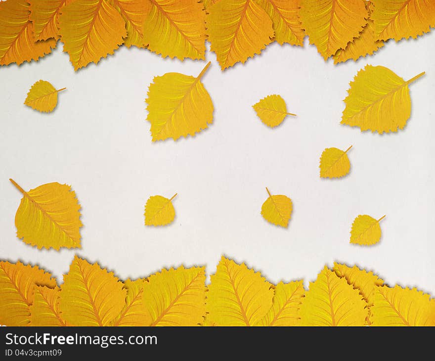 Yellow Leaves Frame