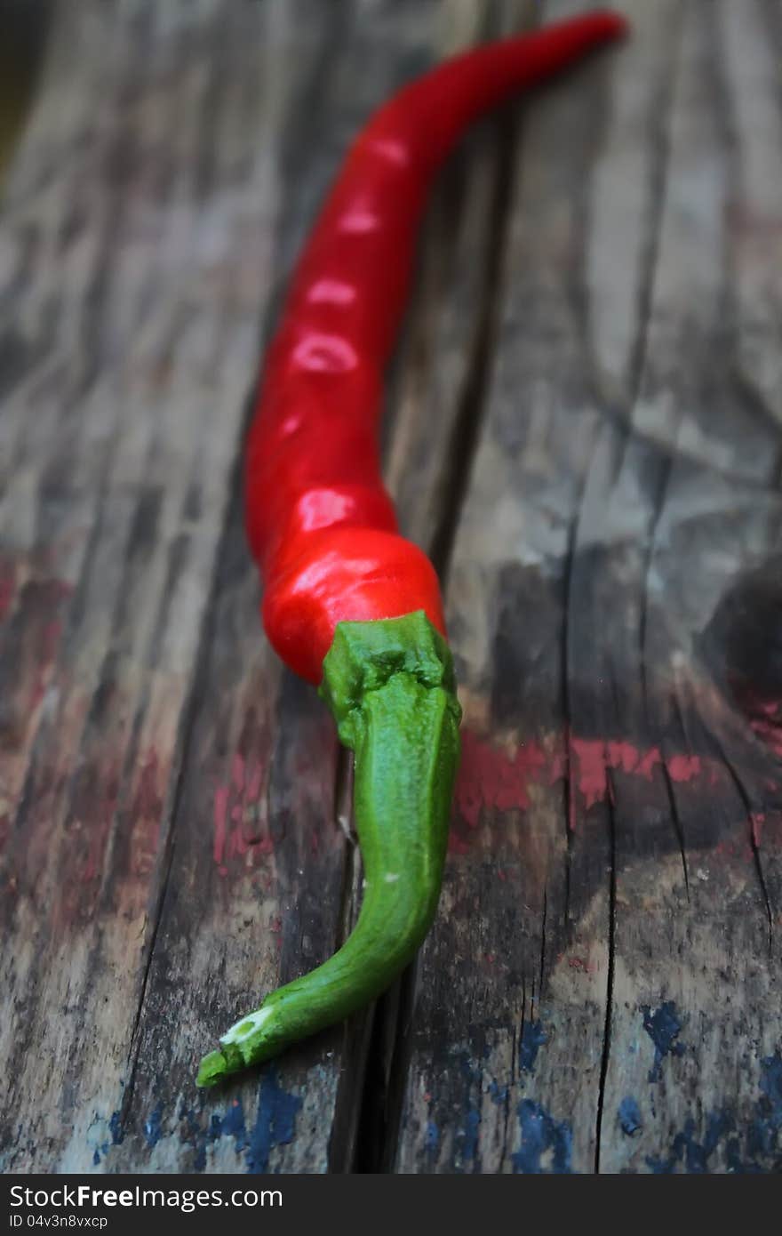 Chili Pepper