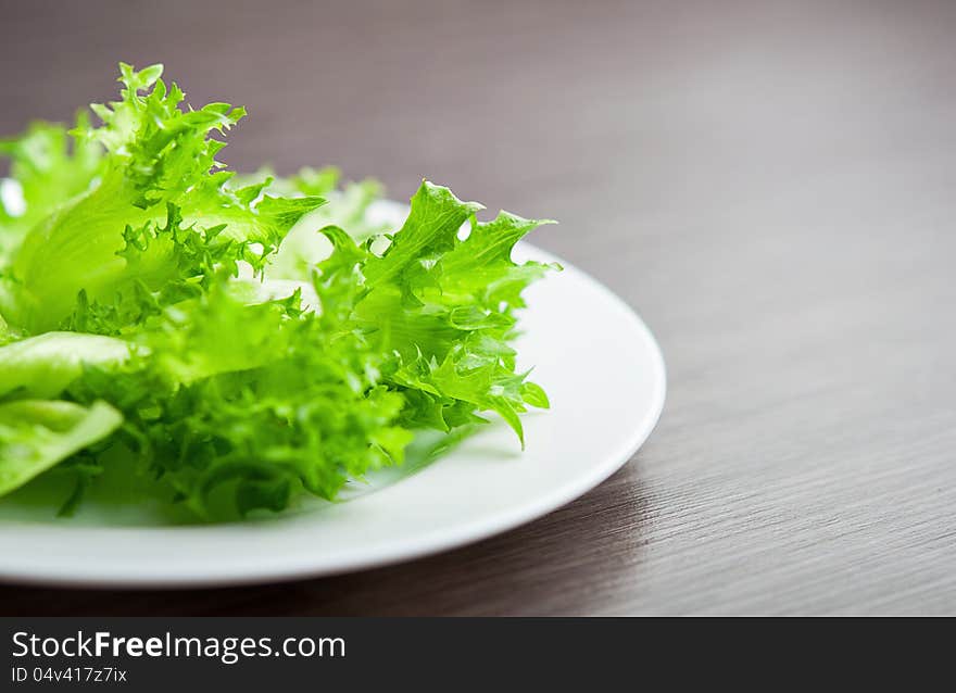 Green lettuce on a plate close-up macro. diet concept with place for your text