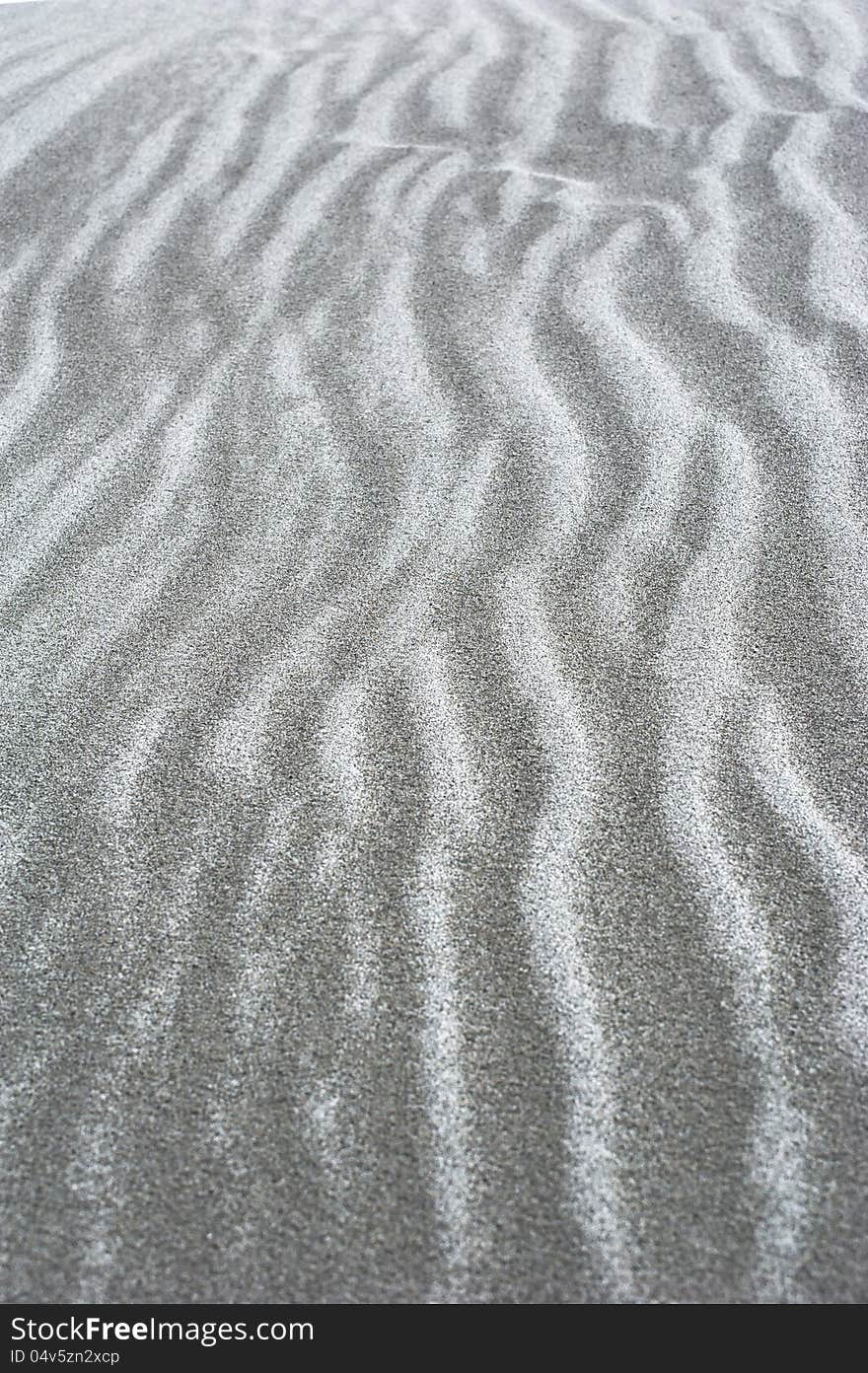 Sand Dune In Desert