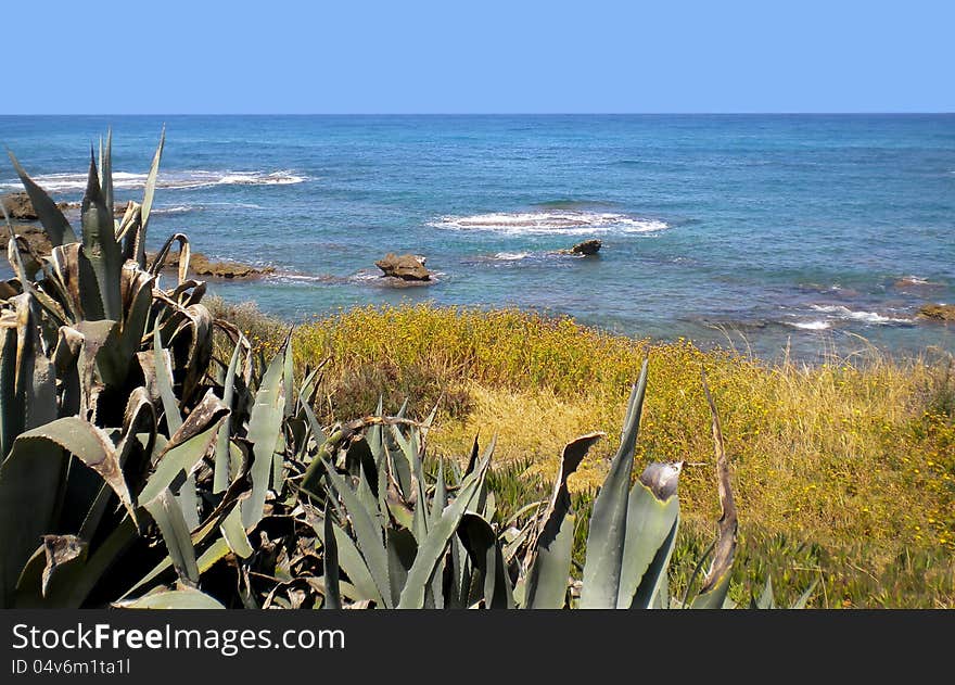 Mediterranean shoreline with vegetation.