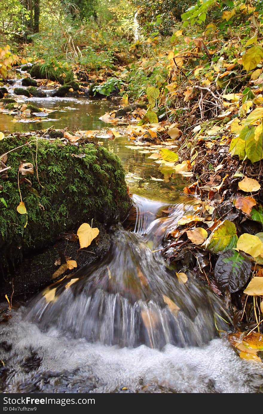 A small stream with Autumn color. A small stream with Autumn color