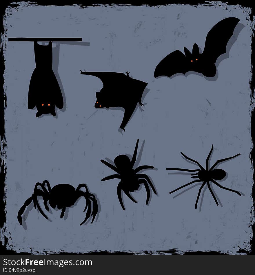 Spiders and bats