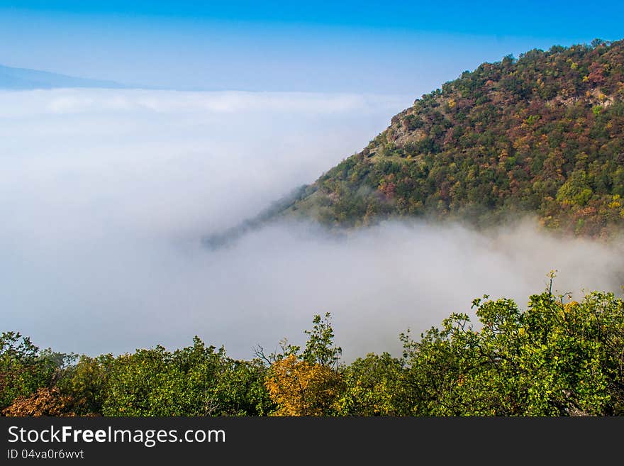 Fog above the river