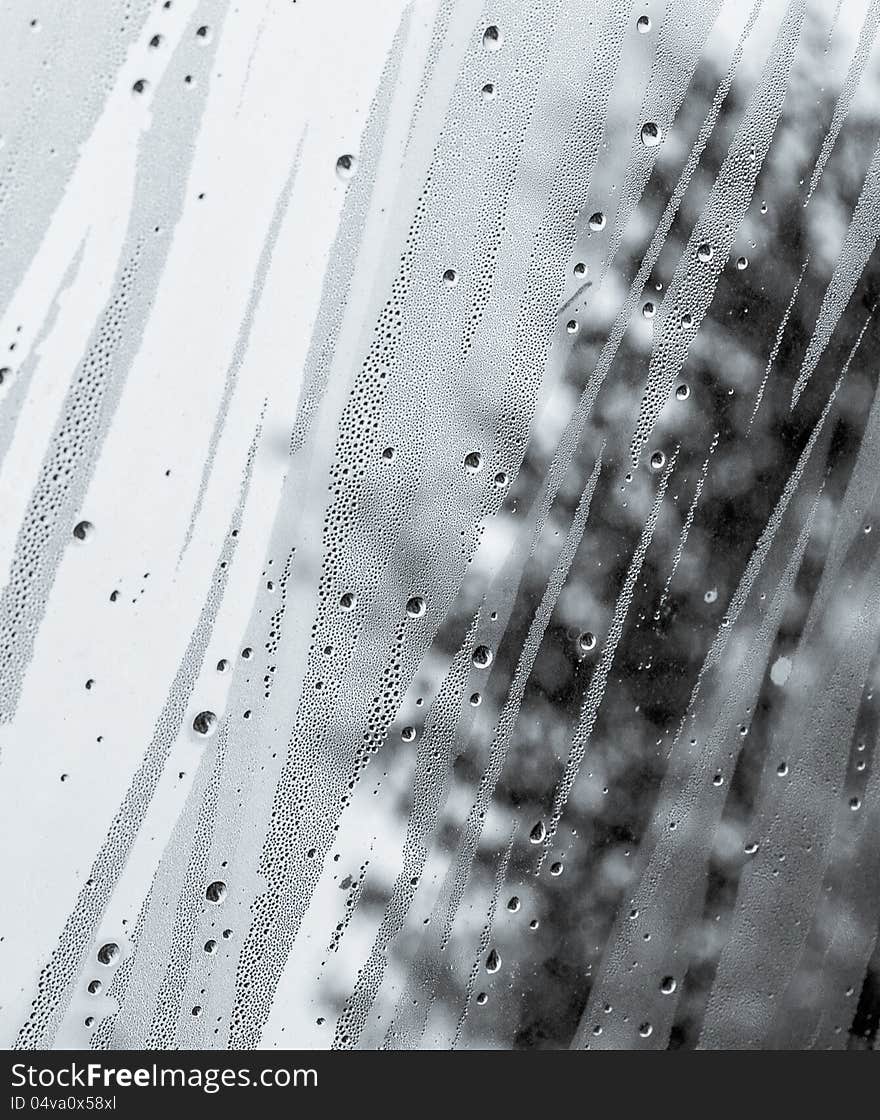 Moist on the roog window after rain in grayscale