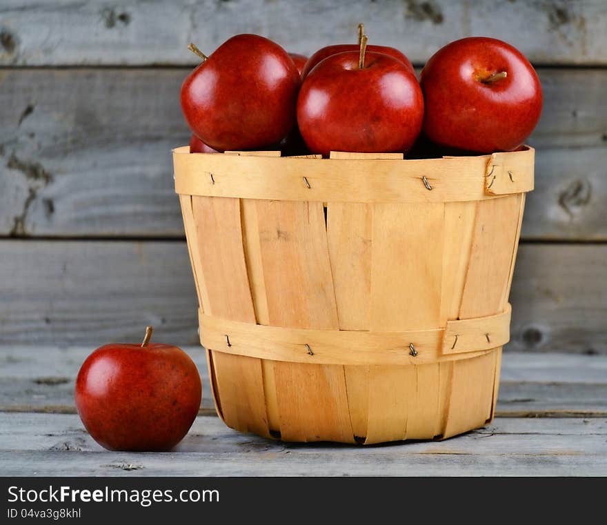 Freshly Picked Apples