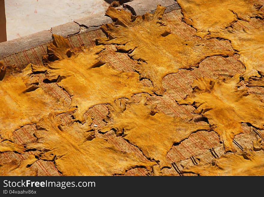 Freshly colored animal leathers are drying on sun