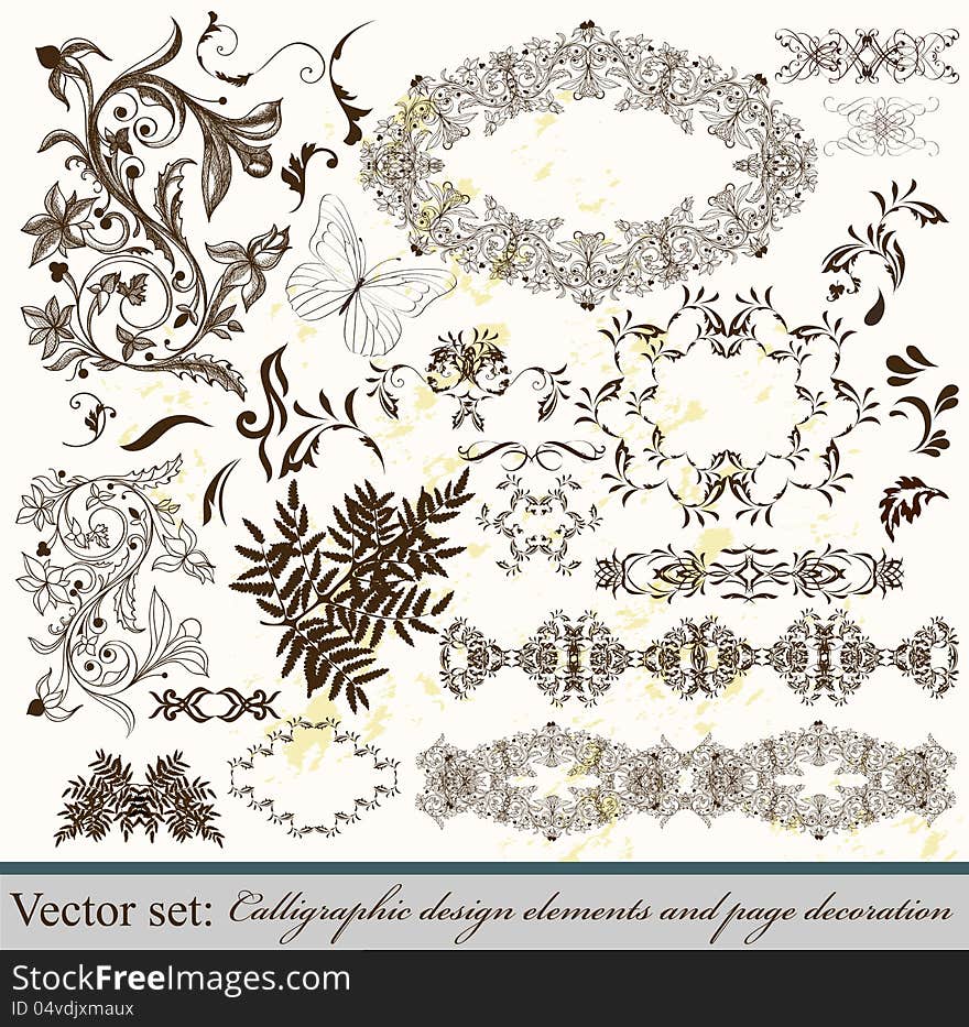 Decorative elements for elegant design. Calligraphic vector. Decorative elements for elegant design. Calligraphic vector