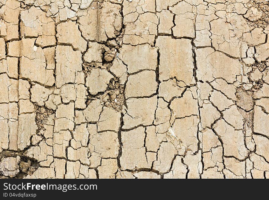 Detail close up of cracked soil showing dry conditions