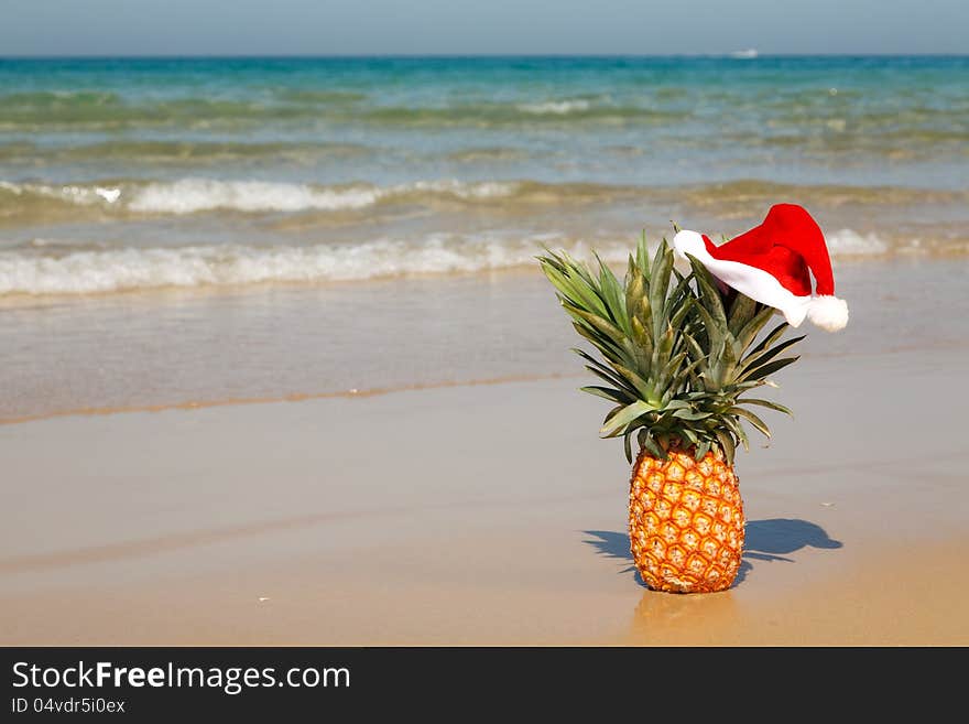 A whole pineapple at santa hat on a sea background . A whole pineapple at santa hat on a sea background .