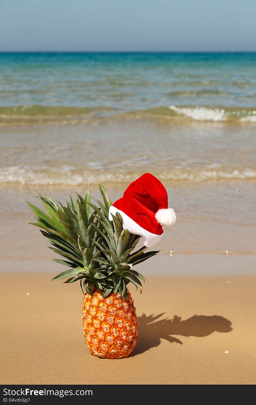 A whole pineapple at santa hat on a sea background . A whole pineapple at santa hat on a sea background .