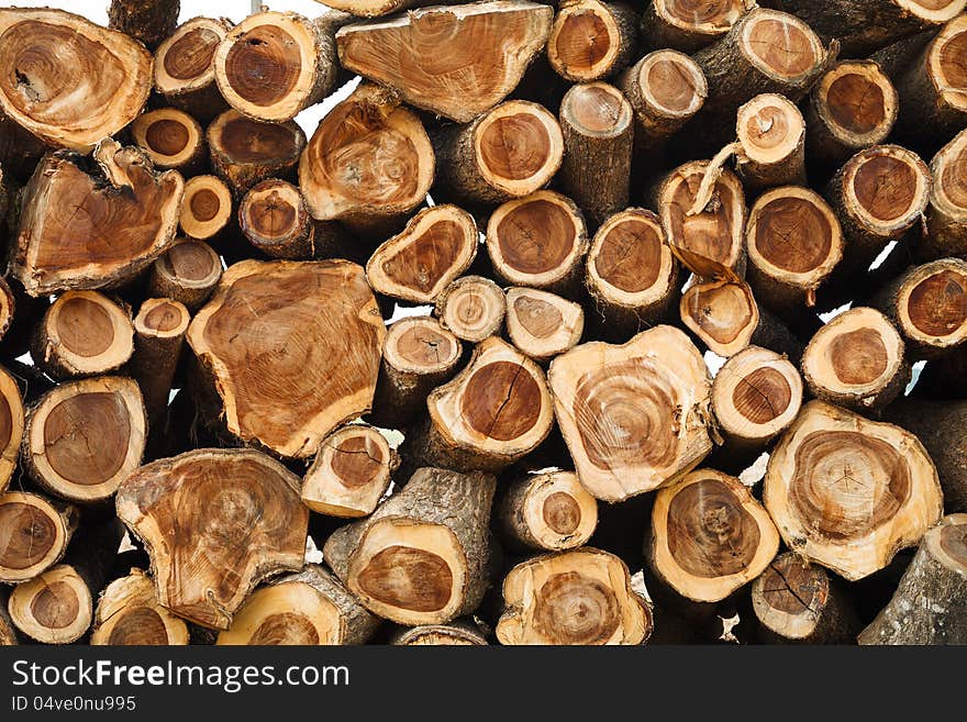 Stack of newly felled pine tree trunks still oozing resin, harvested by lumberjacks in the forest. Stack of newly felled pine tree trunks still oozing resin, harvested by lumberjacks in the forest