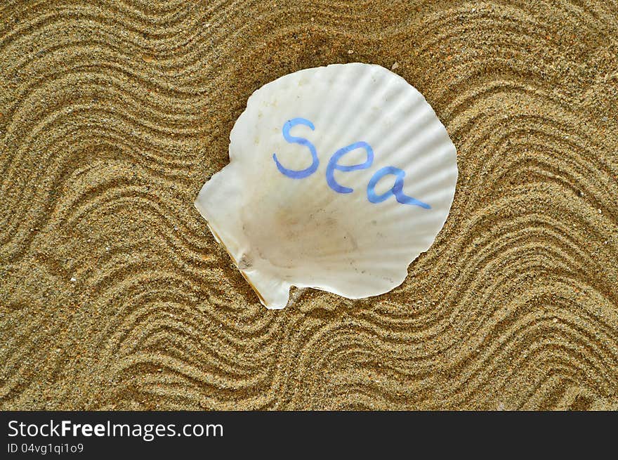 The decorated sea shell with the text on the sand background. The decorated sea shell with the text on the sand background