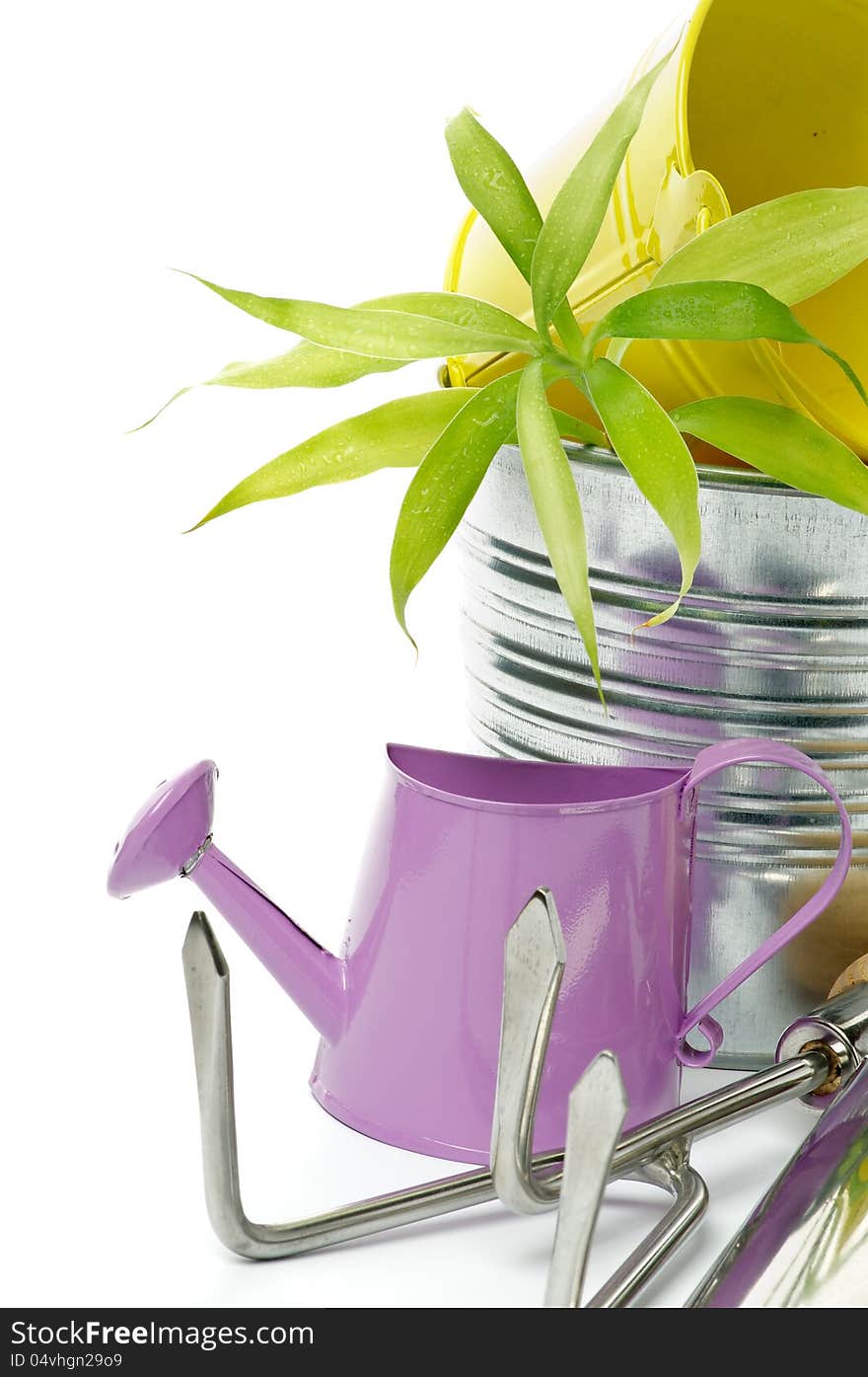 Purple Watering Can with Tin Buckets, Green Plant and Gardening Tools  on white background. Purple Watering Can with Tin Buckets, Green Plant and Gardening Tools  on white background