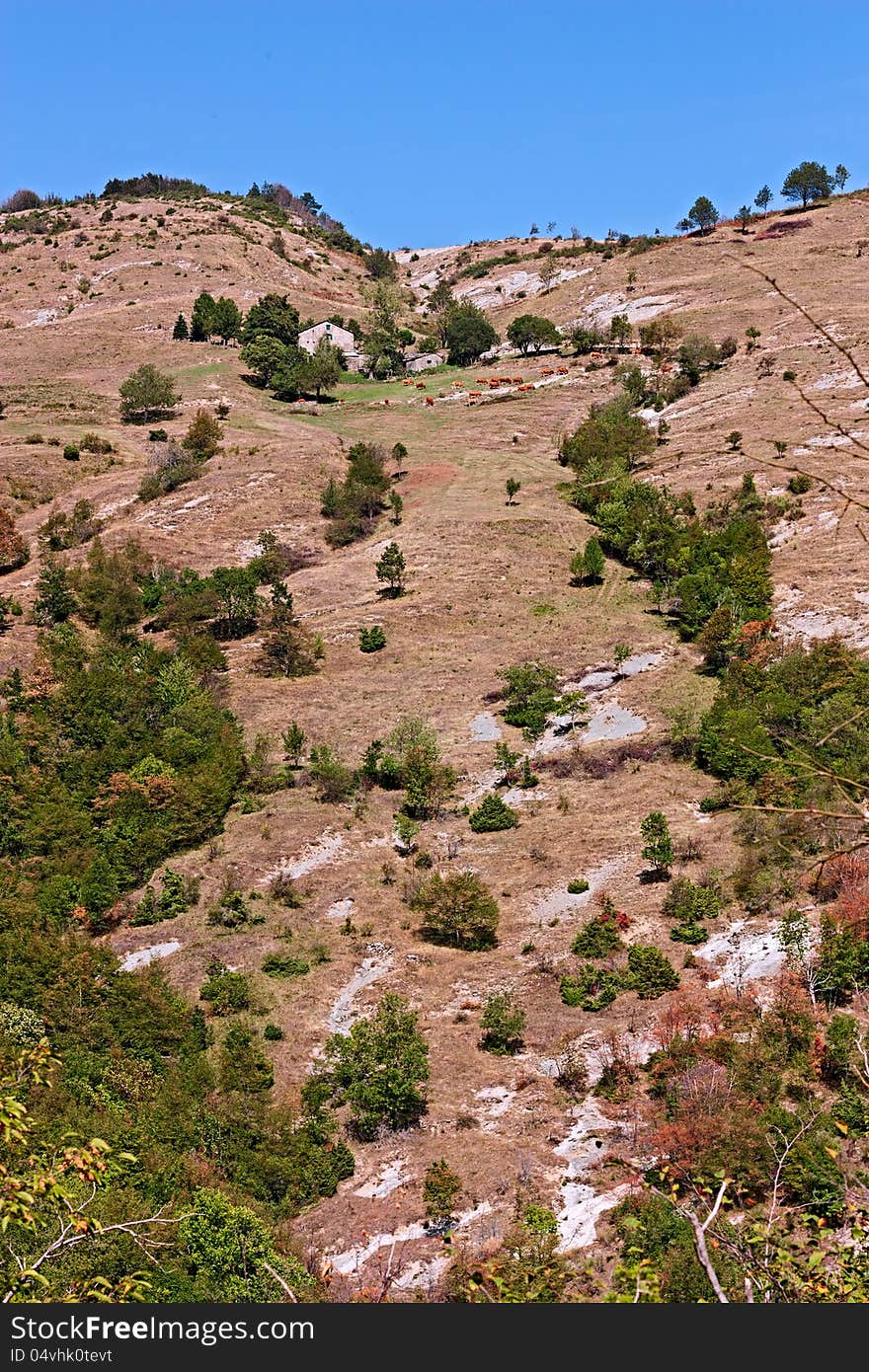 Italian landscape, hill of romagna - wild mountain in Italy. Italian landscape, hill of romagna - wild mountain in Italy