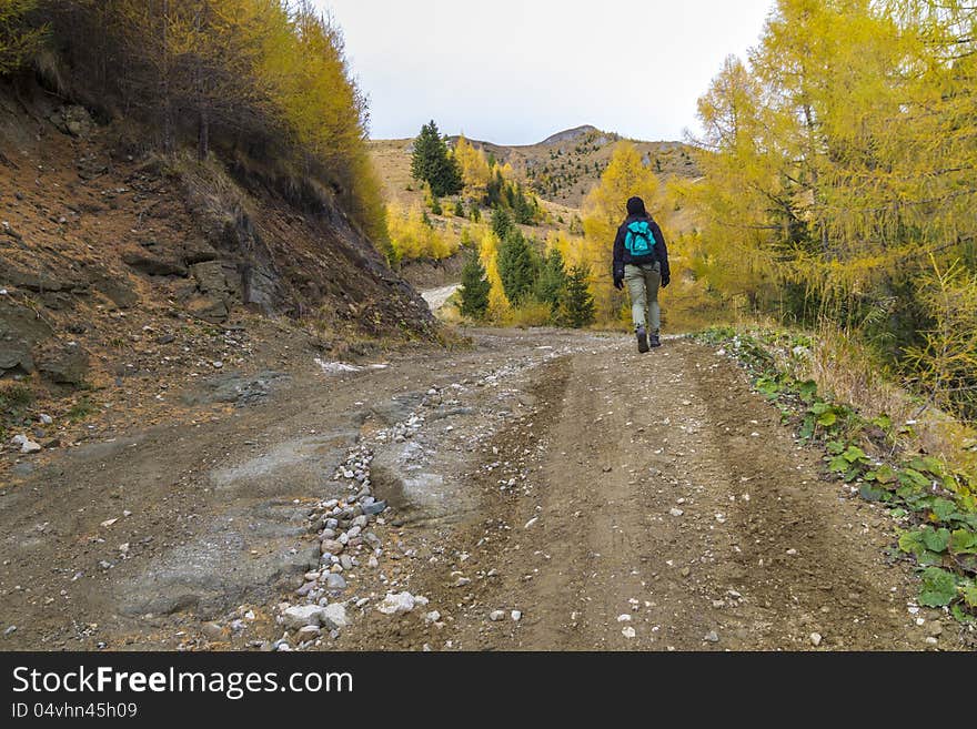 Mountain climber walking on forest road