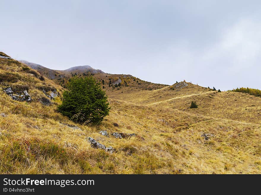 Comming of autumn in sinaia mountains, romania. Comming of autumn in sinaia mountains, romania