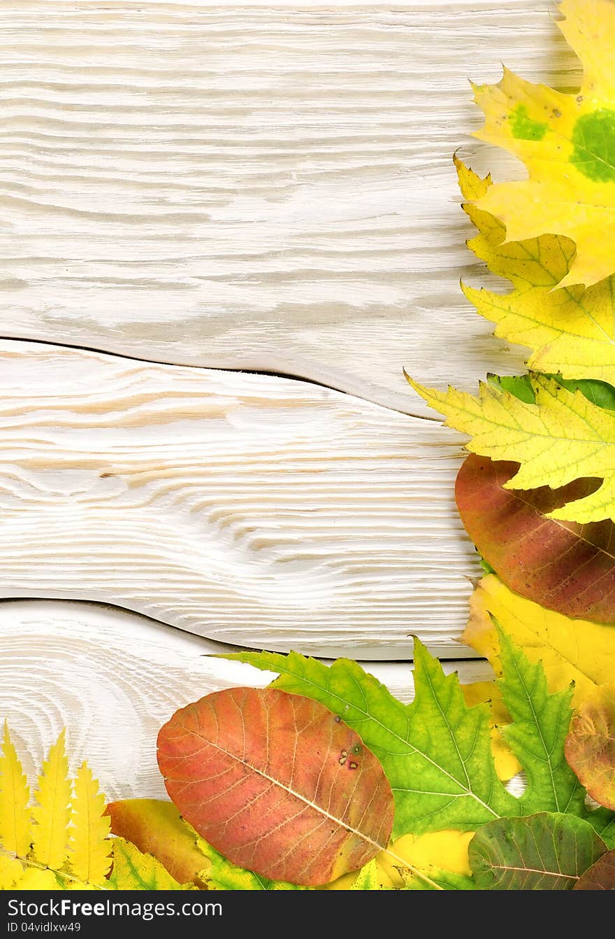 Autumn composition on a white wooden table. Autumn composition on a white wooden table