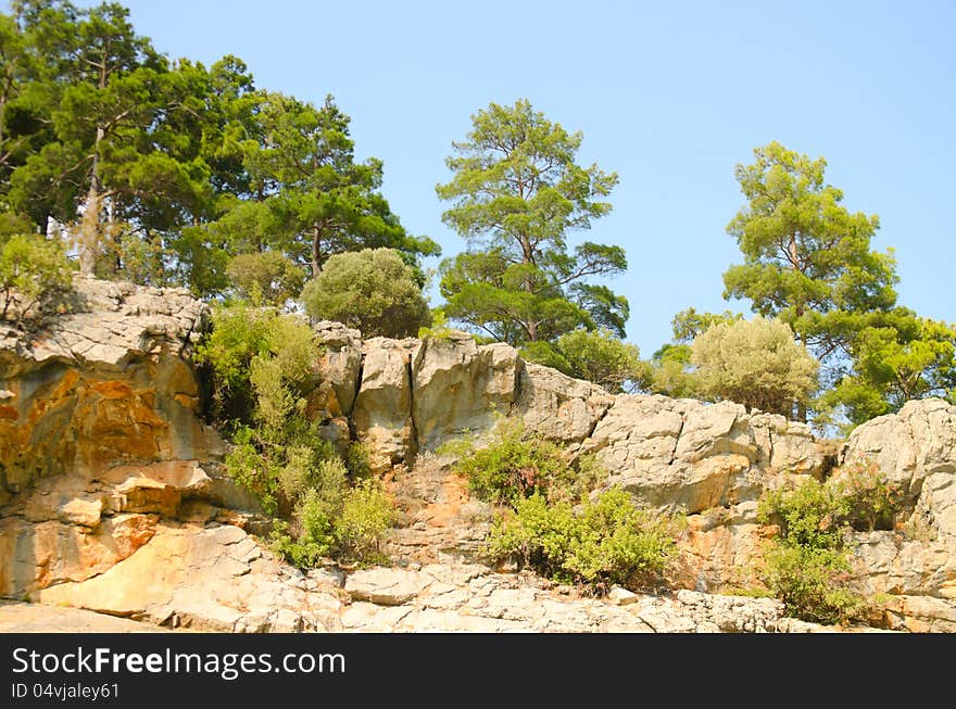 High mountains with growing trees and blue sky. High mountains with growing trees and blue sky